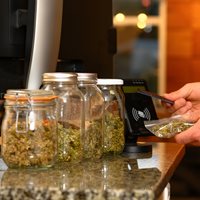 SMACNA’s White Paper on Cannabis Issues Now Available